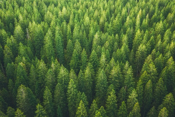 8 Tips If Your Water Smells Like Rotten Eggs