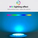 Led Swimming Pool Light