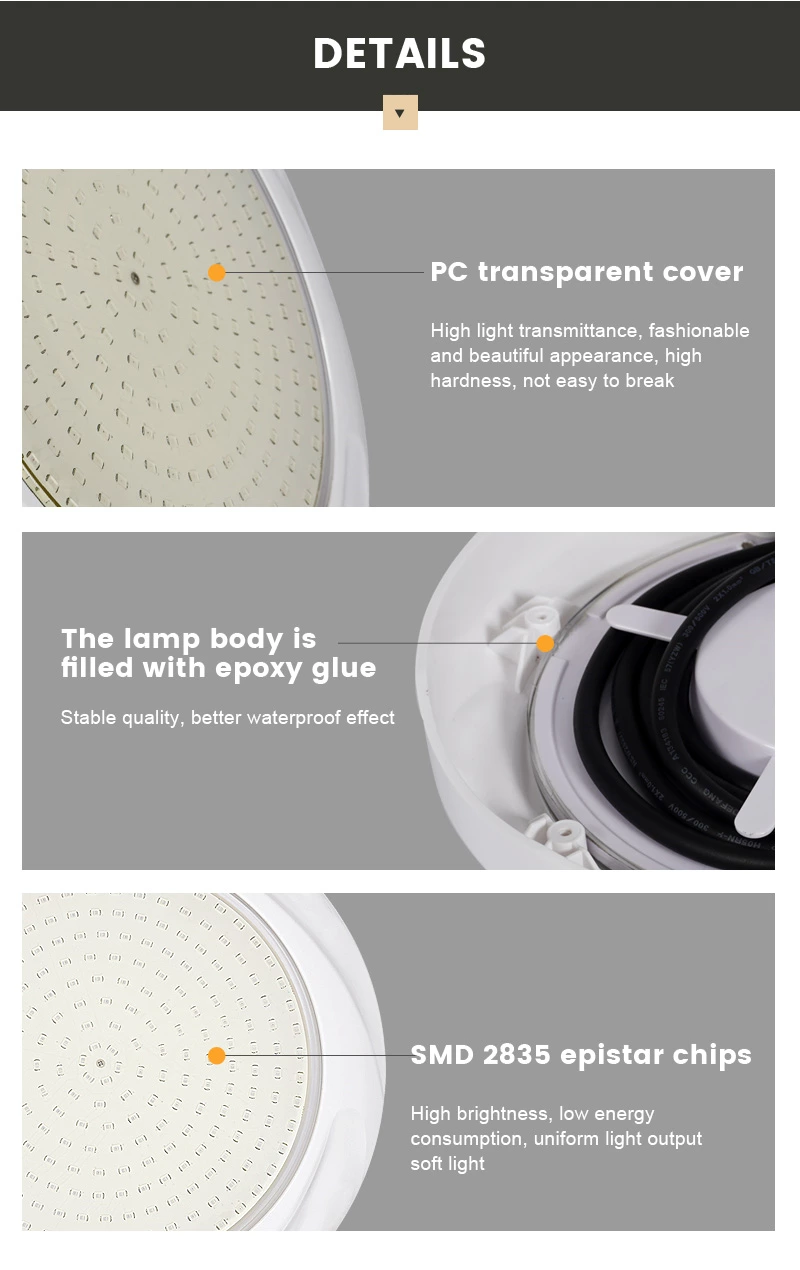 Swimming Pool Light
