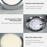Stainless Steel LED Pool Light