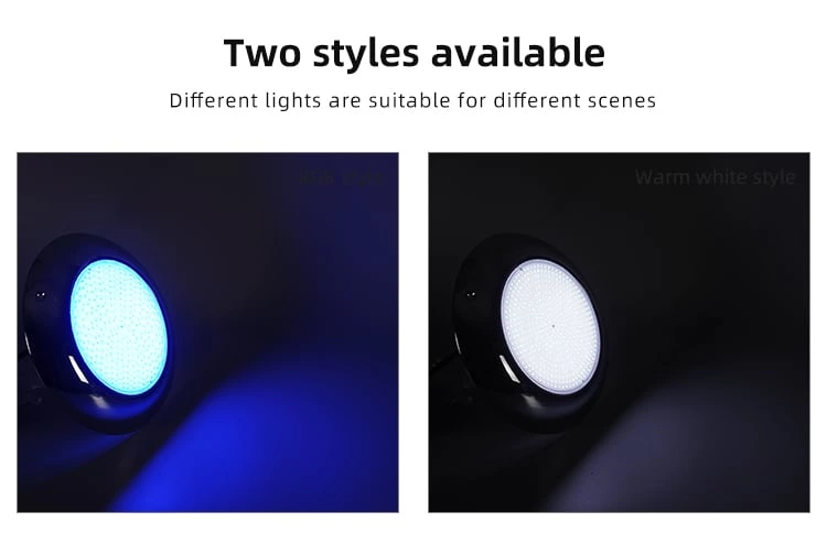 Stainless Steel LED Pool Light