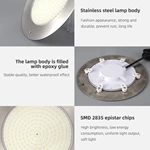 Stainless Steel LED Pool Light